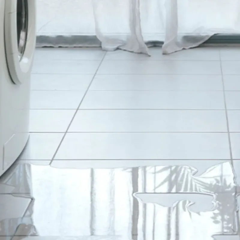 Appliance Leak Cleanup in Thomaston, ME