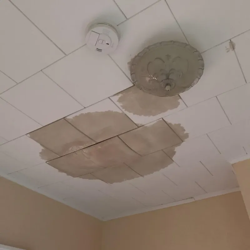 Ceiling Water Damage Repair in Thomaston, ME