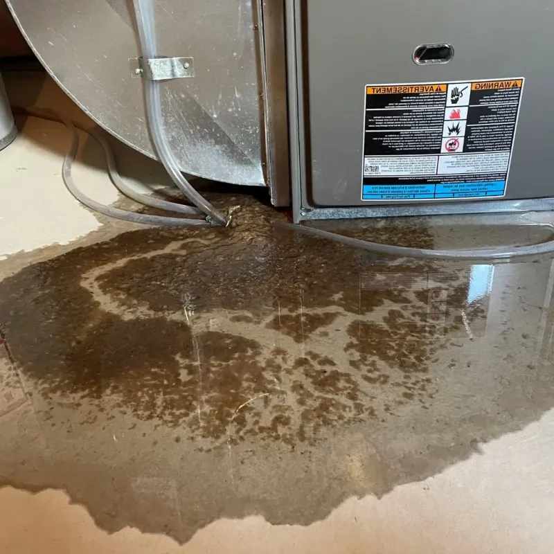 Pipe Burst and Leak Restoration in Thomaston, ME